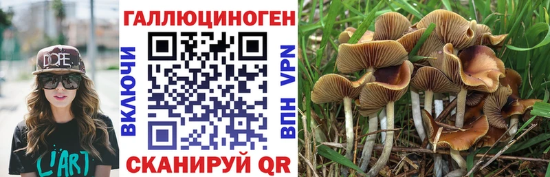 Псилоцибиновые грибы MAGIC MUSHROOMS  ссылка на мегу зеркало  Усолье 